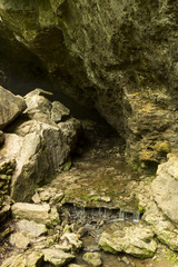 Wall Mural - Cave Stream / A stream flowing out of a cave.