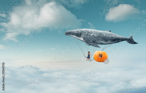 Fotografie, Obraz Take me to the dream