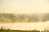 Fototapeta Natura - morning fog. around the lake grow birch .