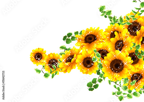 向日葵の綺麗な背景 Stock Vector Adobe Stock 向日葵の綺麗な背景 Stock Vector Adobe Stock