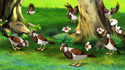 Wall Mural - Flock of Sparrows ..Feeding in the Forest