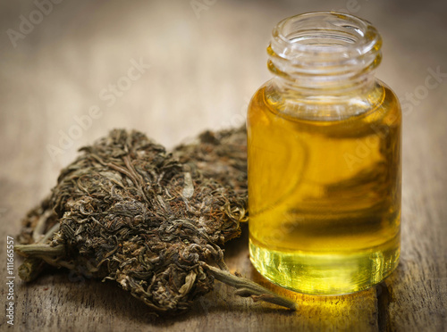 Zdjęcie XXL Lecznicza marihuana z olejem ekstrakcyjnym