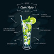 © radionastya - Vector illustration of fresh and salty drink: alcoholic cocktail classic mojito.