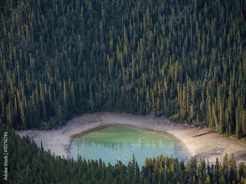 Fotografía A small lake in pine-forest, Alberta, Canada.