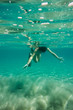 © ileana_bt - Underwater scene in Ionian sea, Zakynthos, Greece, with girls playing in the water