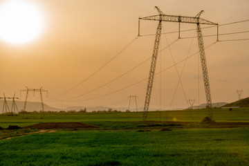 Poster - electric pylon