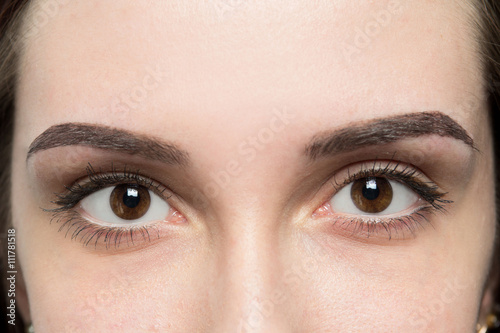 Expressive Significant Eyes Perfect Shape Of Eyebrows After