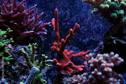 500_F_111781586_TtkHuiuwQnzFfHkXmHKGCQXk