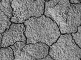 Fototapeta Nowy Jork - dry and cracked soil