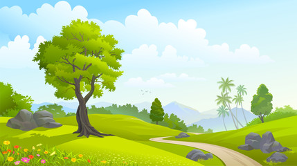 Green forest in spring time