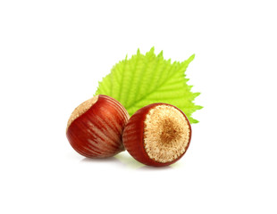 Poster - Two hazelnuts with leaves.