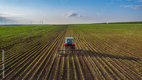 Cuadros en Lienzo Tractor cultivating field at spring