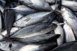 © sakhorn38 - fresh fish in market