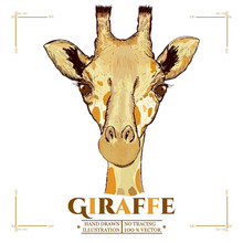 Giraffe Realistic Portrait, Hand Drawn Animals Vector