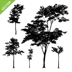 Poster - Tree silhouettes vector