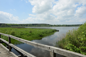 Wall Mural - Brücke am Dreifelder Weiher, Westerwald