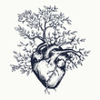 Anatomical human heart from which the tree grows