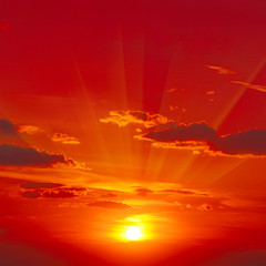 Wall Mural - bright red sunrise