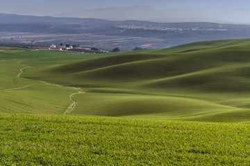 Mountainous landscape of green grass during spring, Andalucia, S