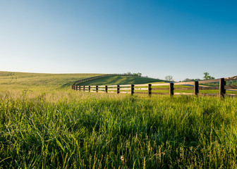 Tall Dewy Grass in Rolling Hills of Kentucky