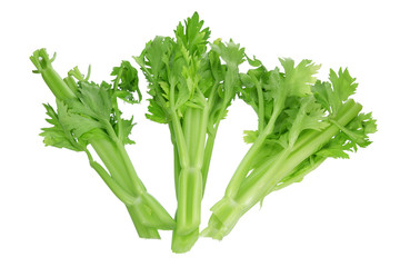 Poster - Celery 