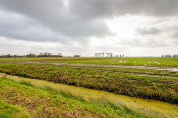 Threatening clouds sky above a drenched field