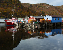 Newfoundland Fishing Boats And Stages