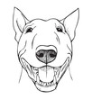 bull terrier funny face