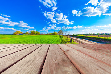 Green field under blue sky. Wood planks floor. Beauty nature bac