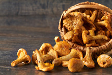 Vintage Basket Of Chanterelles Mushrooms From Forest On A Wooden Planks Background