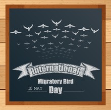 Migratory Birds Mechanism With Ribbon And Flying Birds Written By Chalk On Blackboard