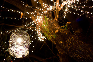 lamp decoration garden on tree at night time