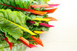 Colorful chard leaves in a bowl.