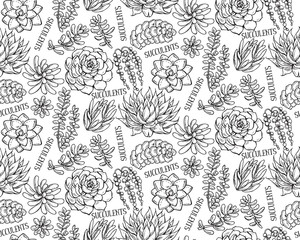 Wall Mural - Vector seamless pattern with hand drawn succulent plants