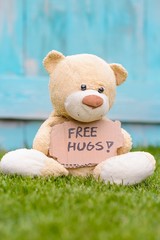 teddy bear holding cardboard with information free hugs