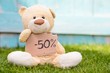 Teddy bear holding cardboard with information -50%