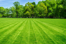 Green Grass Field And Bright Blue Sky. Background.