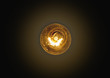 © kolyadzinskaya - light bulb lit on a black background