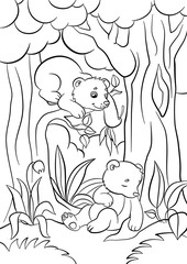 Wall Mural - Coloring pages. Wild animals. Two little cute baby bears in the forest.