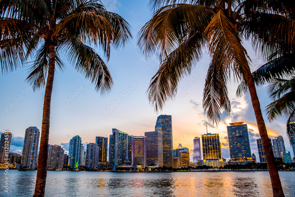 Miami, Florida skyline and bay at sunset seen through palm trees 