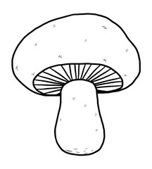 Wall Mural - mushroom / cartoon vector and illustration, black and white, hand drawn, sketch style, isolated on white background.