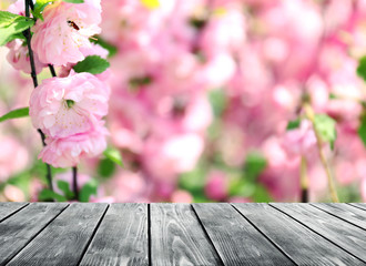 Canvas Print - Empty wooden table and  blurred blooming tree on background