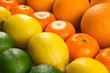 © Africa Studio - Colorful mixed citrus fruit  sorted and lined up in rows, close up