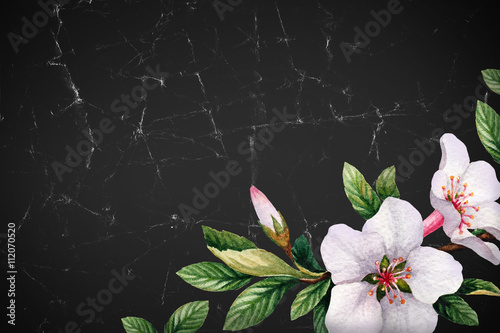 Foto-Schiebegardine Komplettsystem - Background with watercolor cherry flowers (von Aleksandra Smirnova)