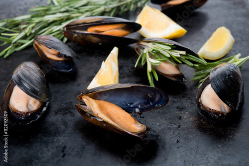 Fresh crude seafood. Mussels in a cockleshell Plakat