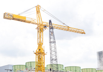 Crane on white sky background