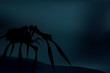 creepy spider silhouette over dark, blue background. Vector