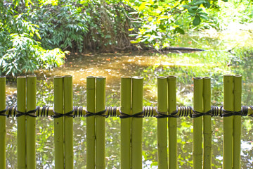 Each pair of bamboo stick was bind to make a fence near the rive