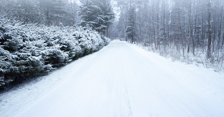 Wall Mural - Empty snowy rural road photo background