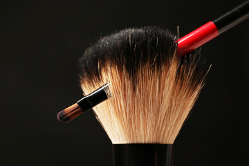 Wall Mural - Professional makeup brushes on black background